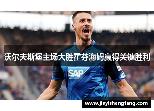 沃尔夫斯堡主场大胜霍芬海姆赢得关键胜利