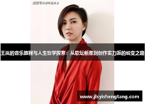 王岚的音乐旅程与人生哲学探索：从歌坛新星到创作实力派的蜕变之路