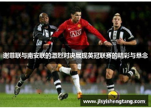 谢菲联与南安联的激烈对决展现英冠联赛的精彩与悬念