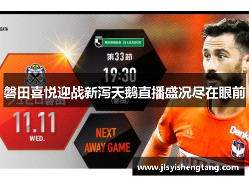 磐田喜悦迎战新泻天鹅直播盛况尽在眼前